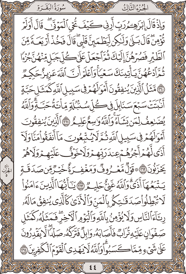 صفحة ٤٤ من المصحف