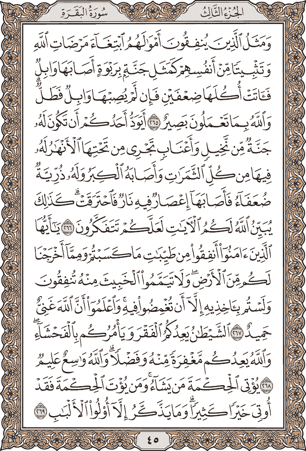 صفحة ٤٥ من المصحف