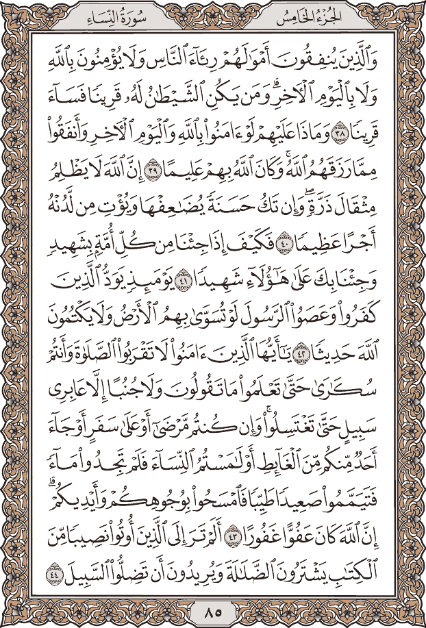 صفحة ٨٥ من المصحف