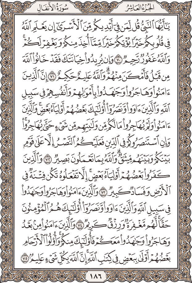 صفحة ١٨٦ من المصحف
