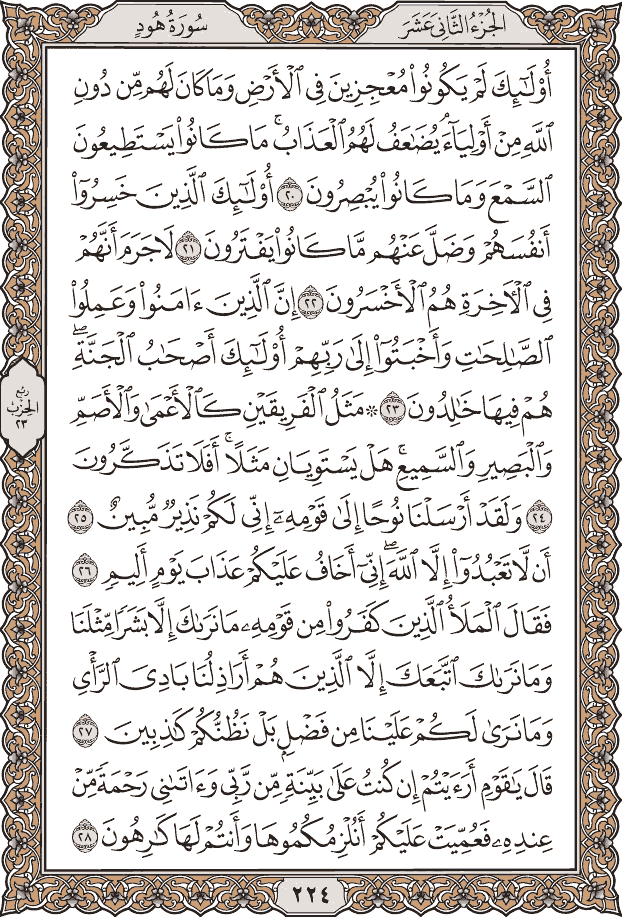 صفحة ٢٢٤ من المصحف