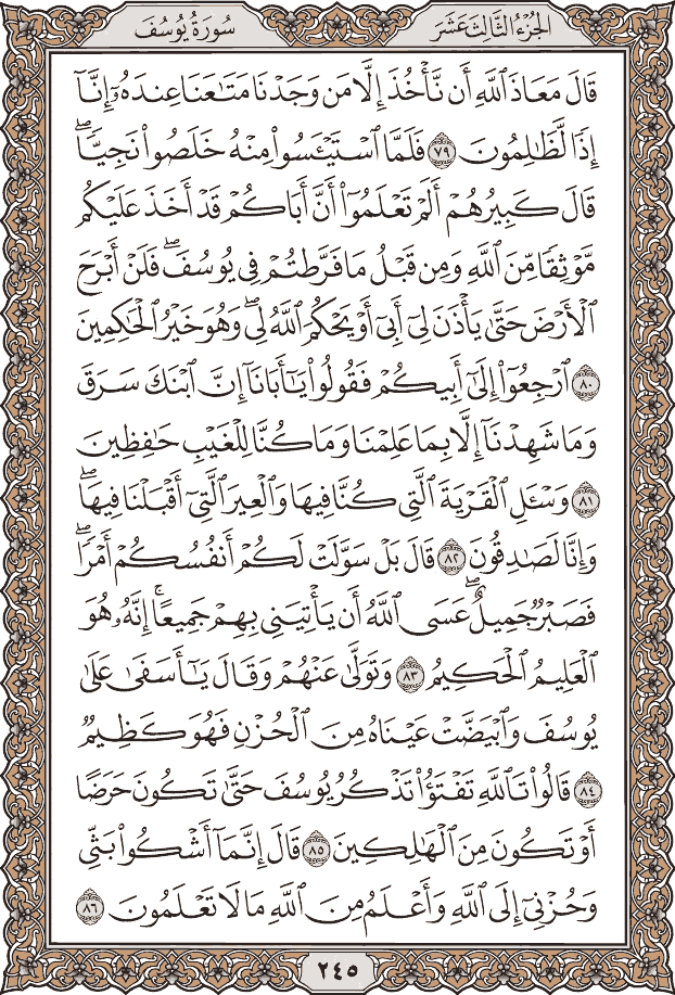 صفحة ٢٤٥ من المصحف