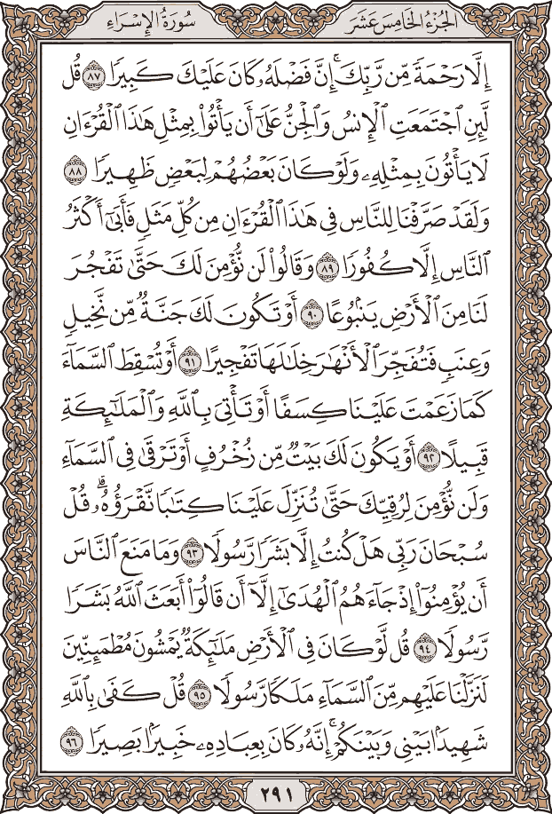 صفحة ٢٩١ من المصحف
