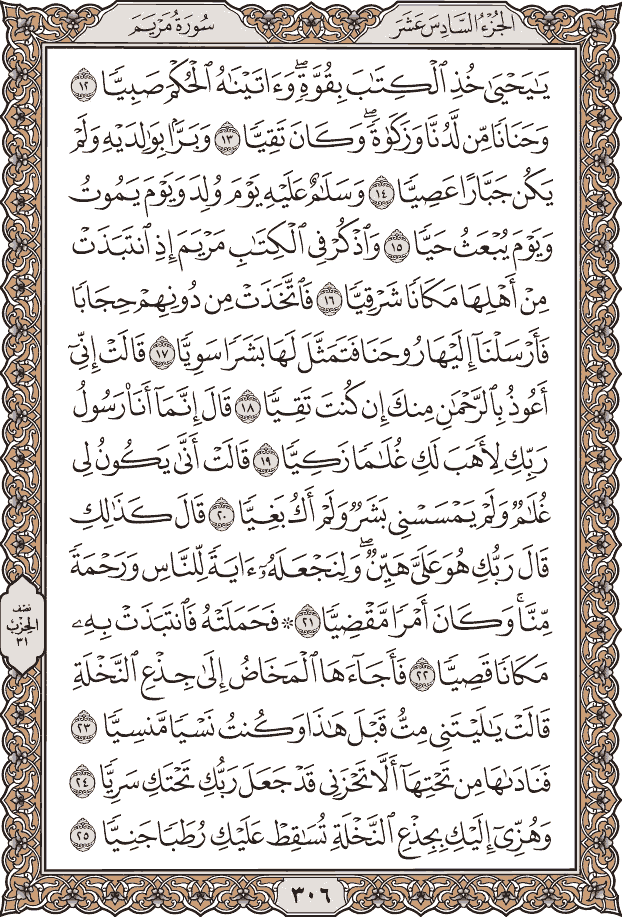 صفحة ٣٠٦ من المصحف