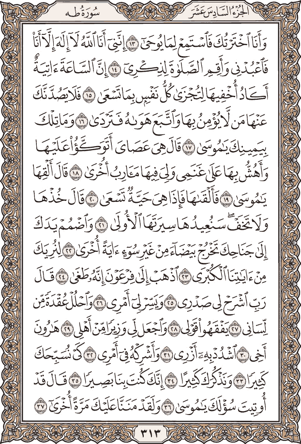 صفحة ٣١٣ من المصحف