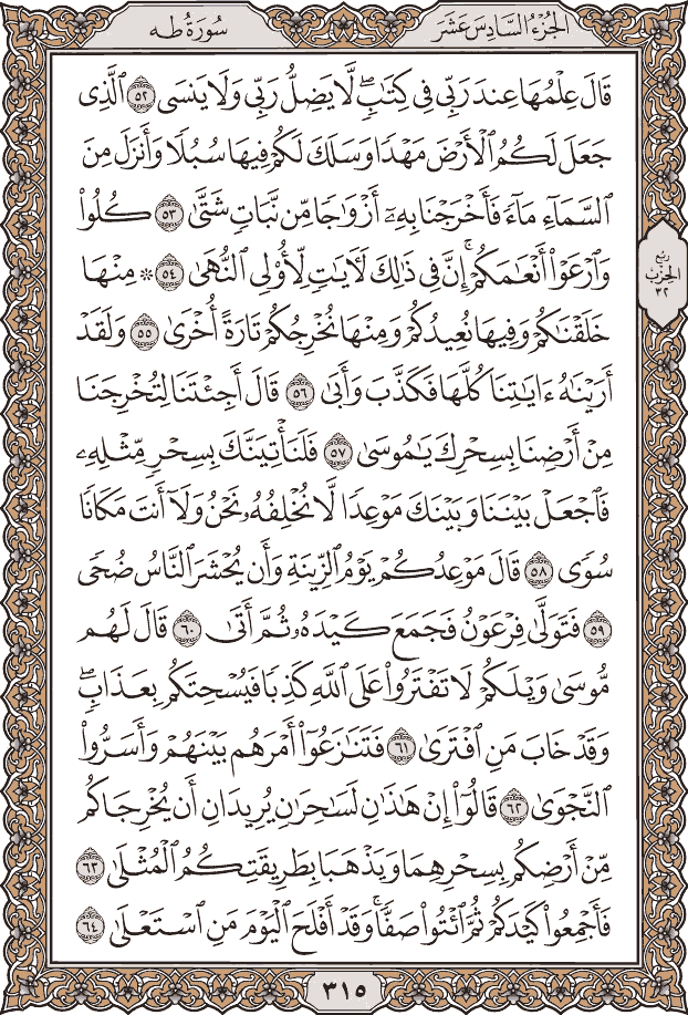 صفحة ٣١٥ من المصحف