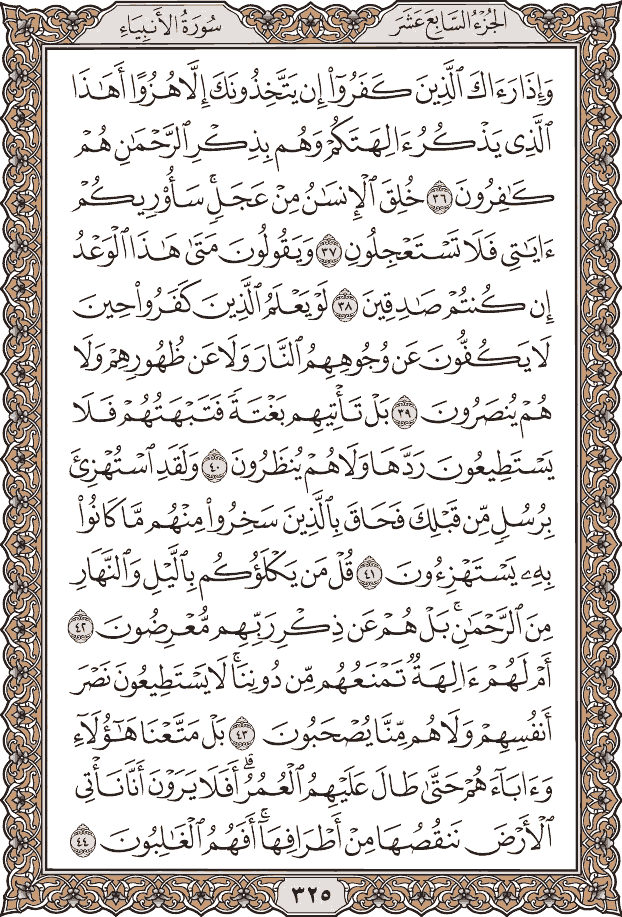 صفحة ٣٢٥ من المصحف