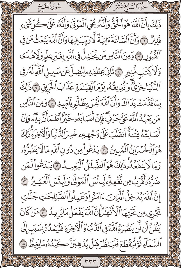 صفحة ٣٣٣ من المصحف
