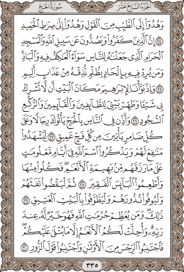 صفحة ٣٣٥ من المصحف