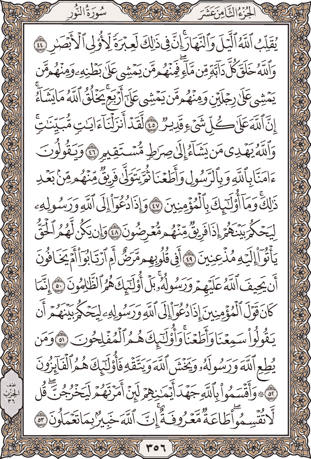 صفحة ٣٥٦ من المصحف