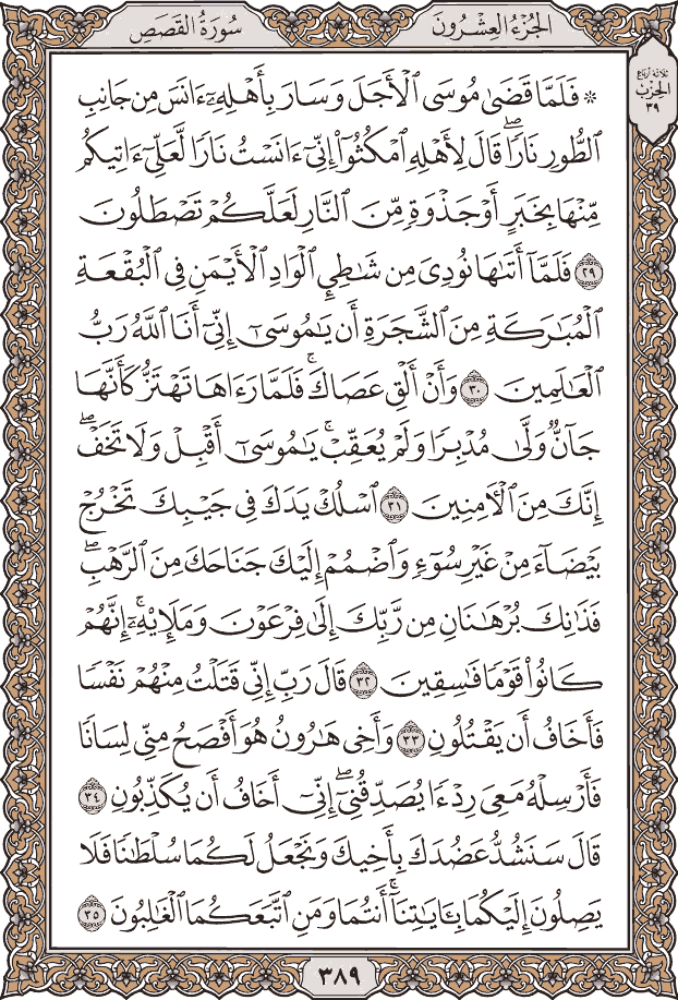 صفحة ٣٨٩ من المصحف