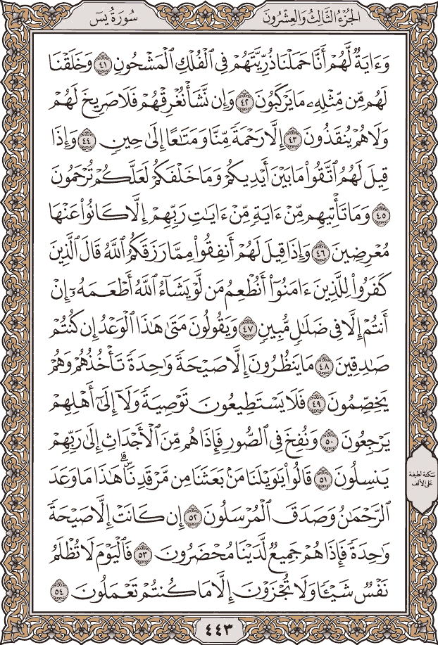 صفحة ٤٤٣ من المصحف