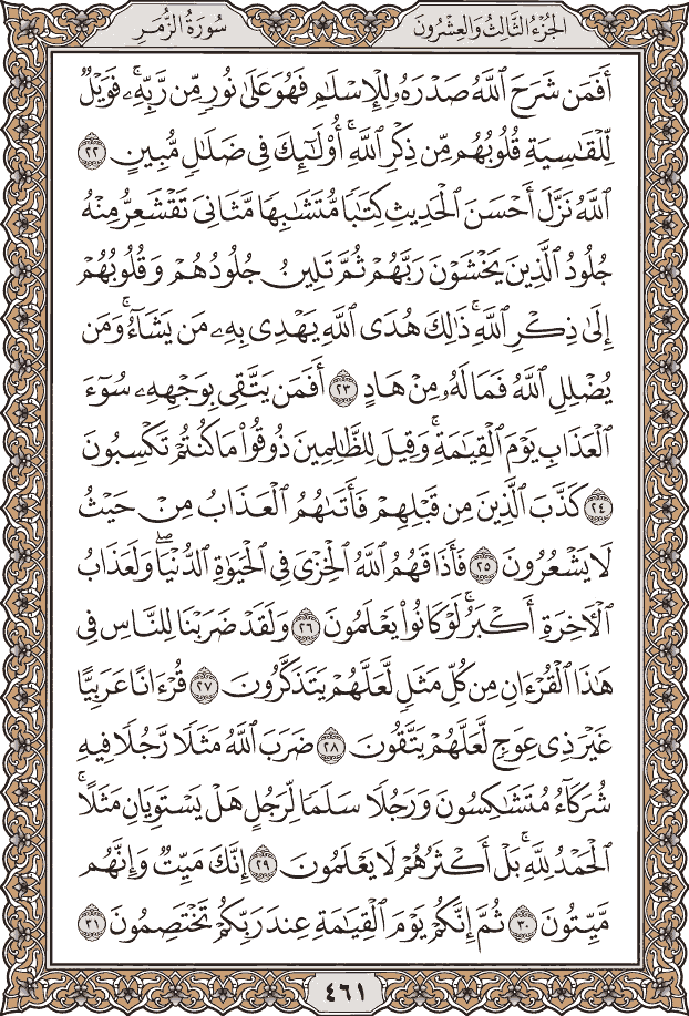 صفحة ٤٦١ من المصحف